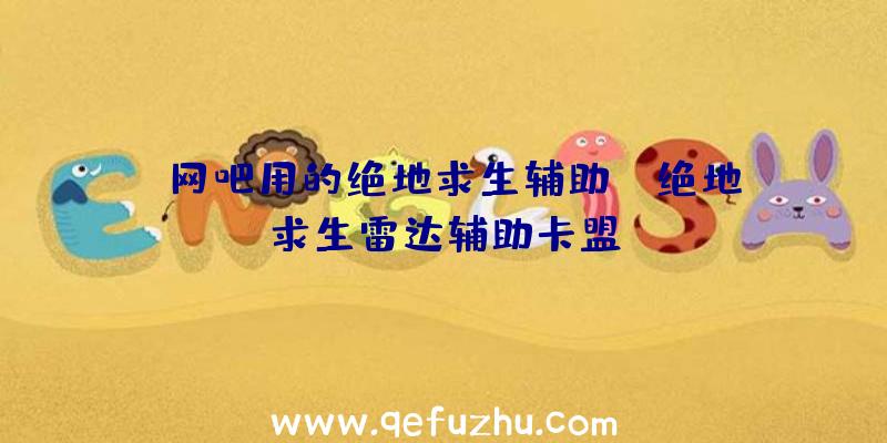 「网吧用的绝地求生辅助」|绝地求生雷达辅助卡盟